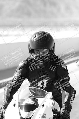 media/Mar-08-2025-TrackXperience (Sat) [[277b597a28]]/1-Around the Pits - Pre Grid/
